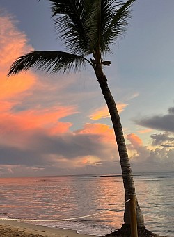 Caribbean Sunrises